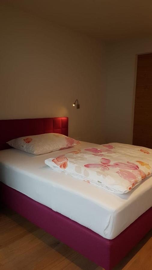 Appartement Mountainview Saalbach-Hinterglemm Kültér fotó