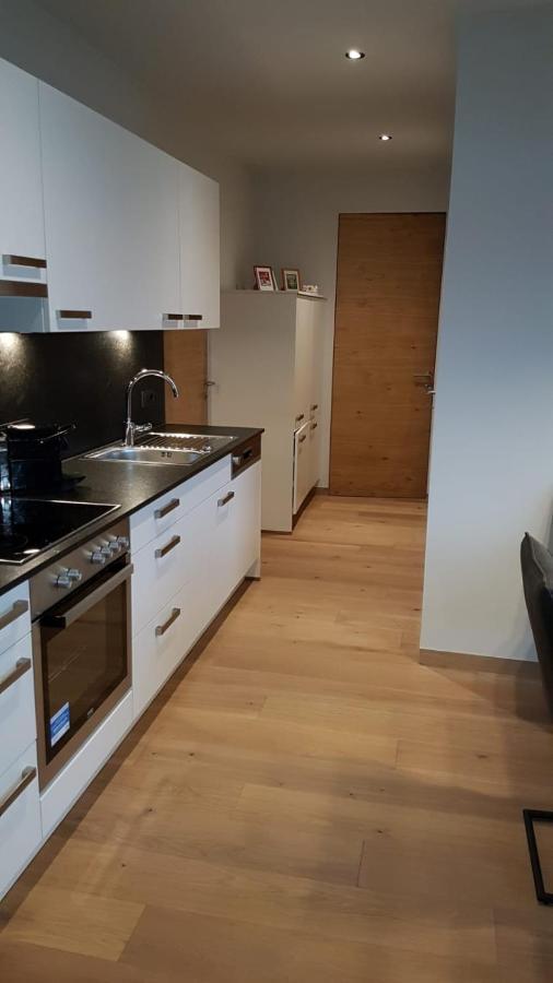 Appartement Mountainview Saalbach-Hinterglemm Kültér fotó